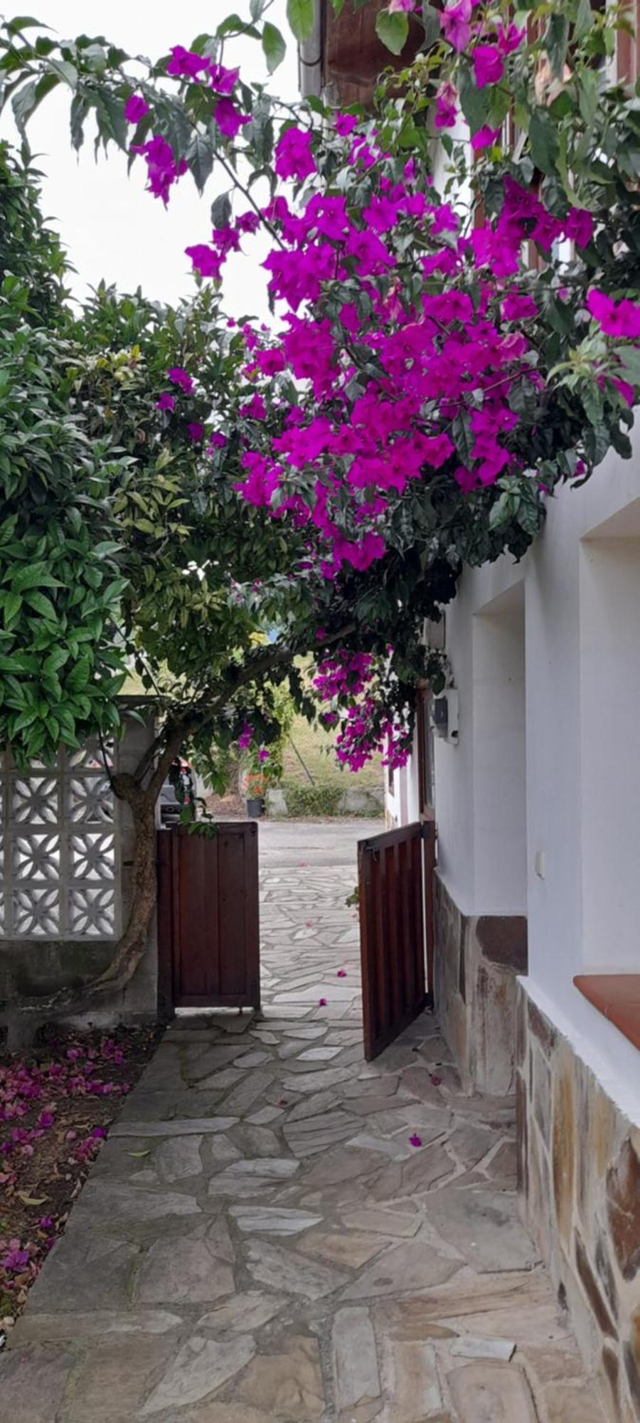 Casa Pura Holiday home